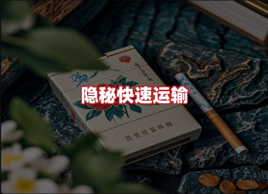 专业团队